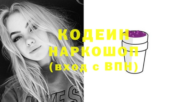 прущий лед Лагань