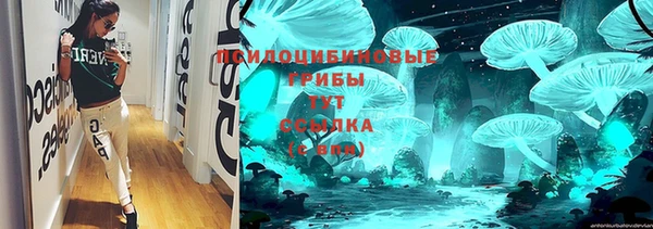 прущий лед Лагань