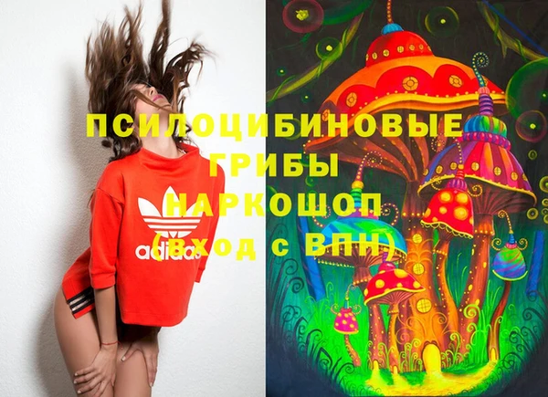 прущий лед Лагань