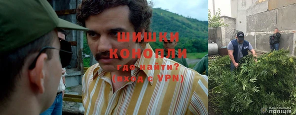 mdpv Магас