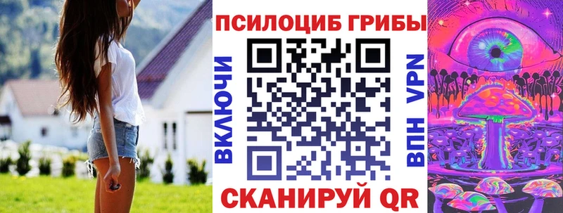 Псилоцибиновые грибы Psilocybe  закладка  Лесной 