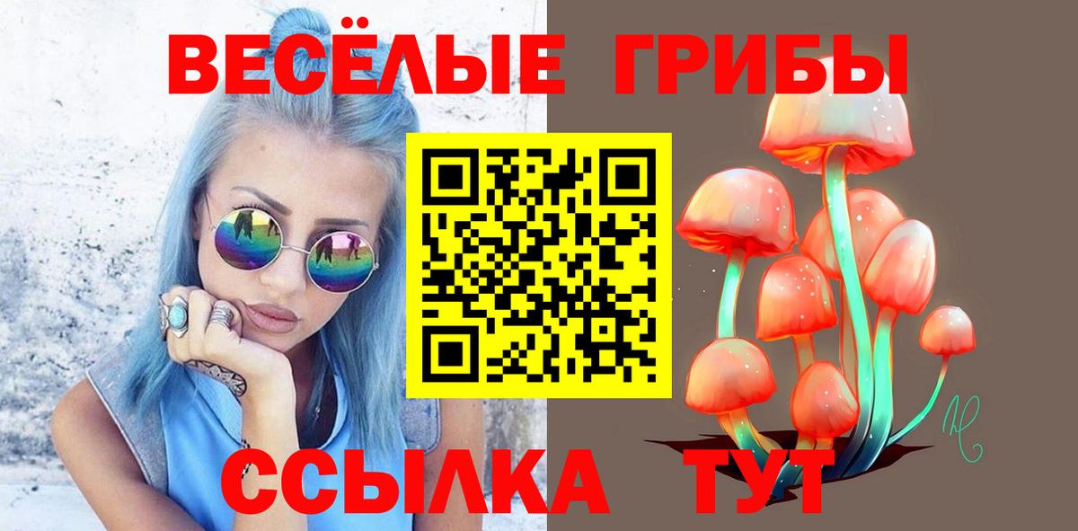Лесной  Галлюциногенные грибы прущие грибы  Вход с VPN  Галлюциногенные грибы ЛСД 