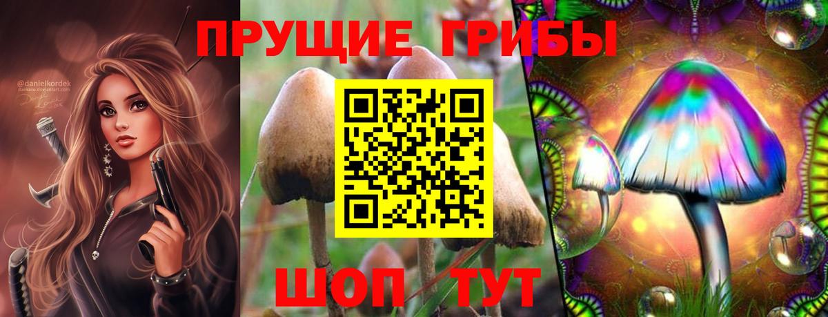 Галлюциногенные грибы GOLDEN TEACHER Лесной